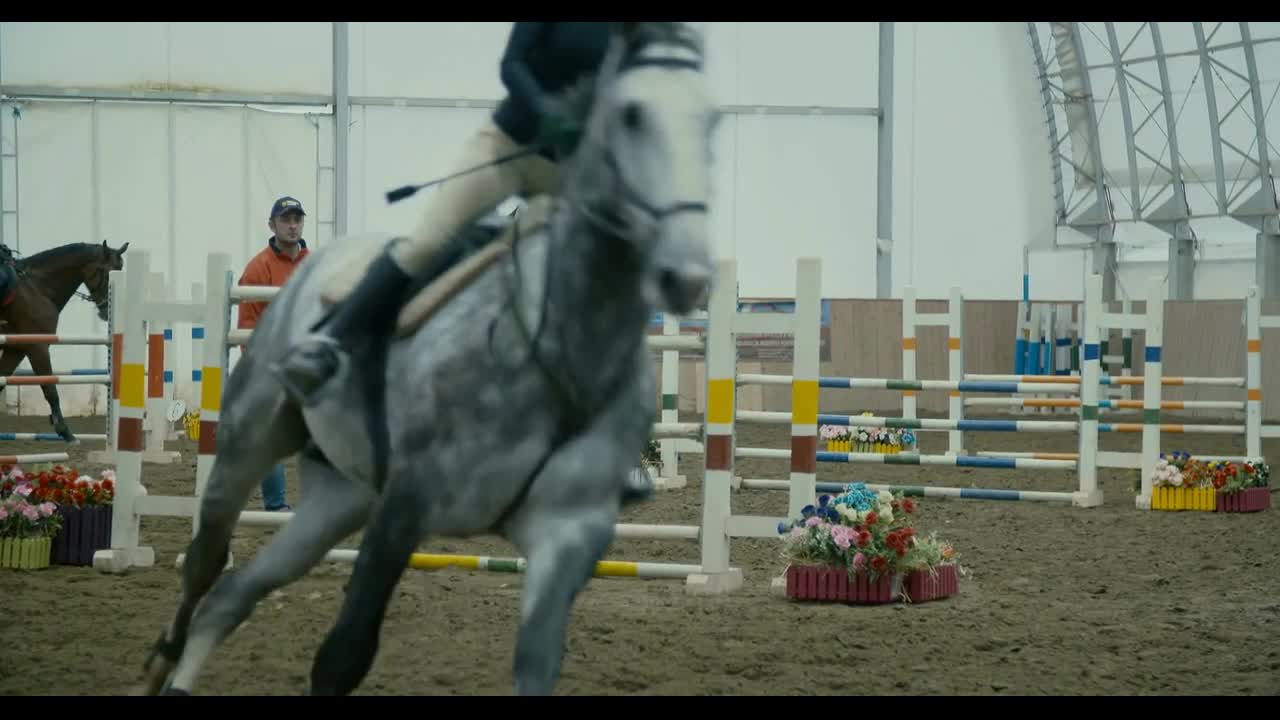 White horse at competition - jumping