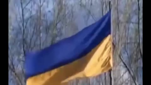 Ukraine's battlefield situation explained in few seconds