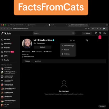 Automatically block over 100 celebs and brands with my free chrome plugin.
