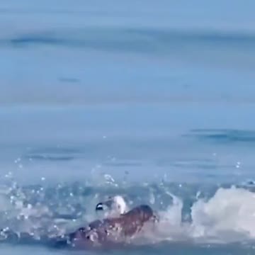 Amazingly caught fish from sea