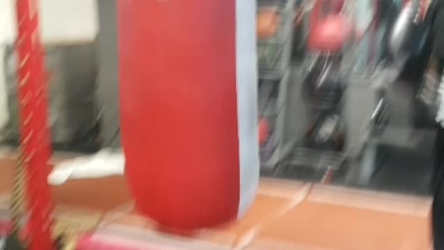 Punching bag