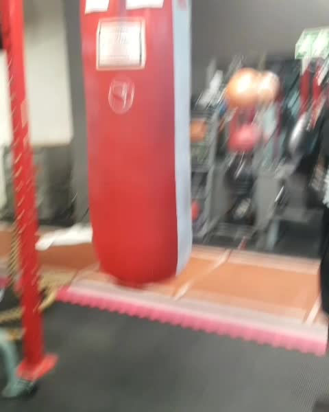 Punching bag