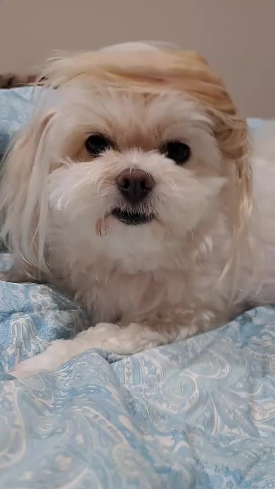 does he look like someone?