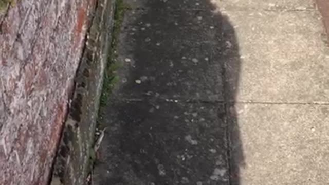 ANDREW H, BASINGSTOKE