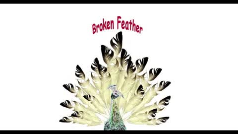 BROKEN FEATHER