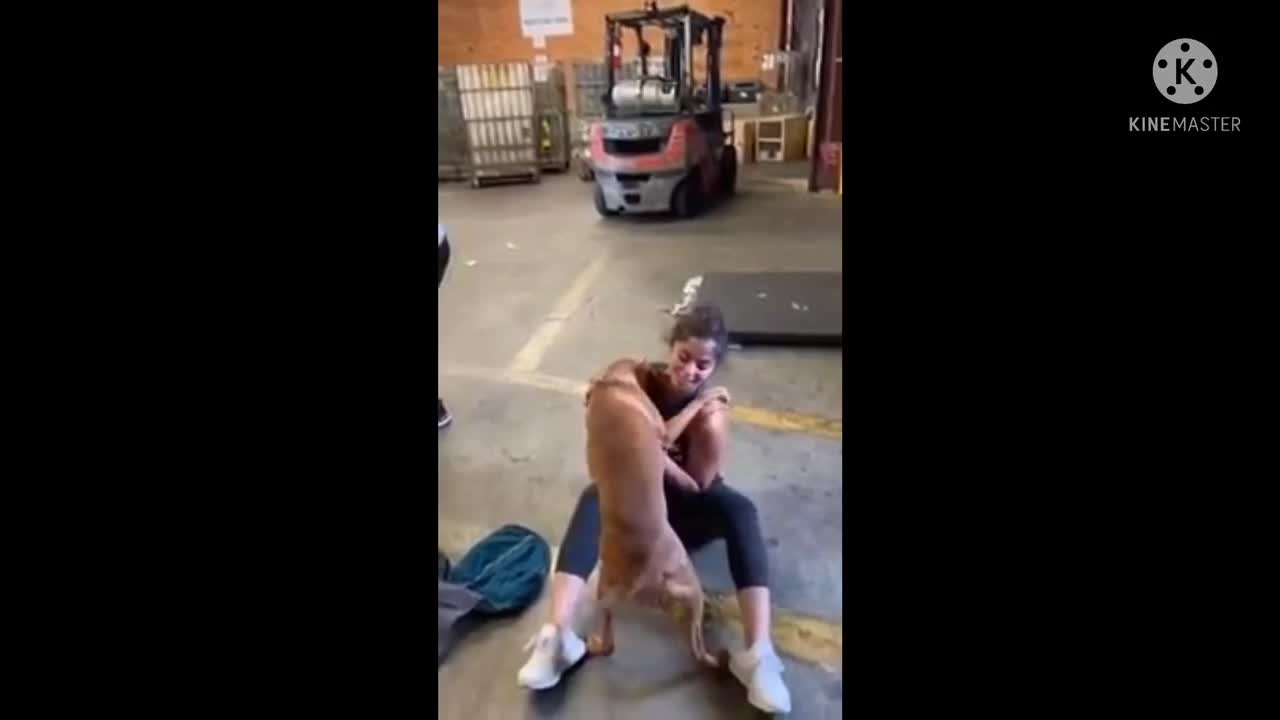 Dog hugs and doesn’t let Go of owner on reuniting after Long Time