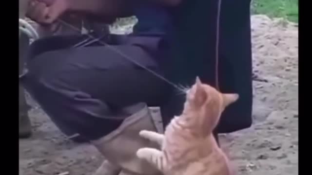 Look what cat just do😂