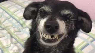 The Cutest Smile