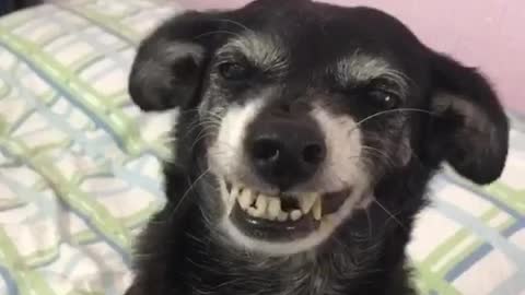 The Cutest Smile