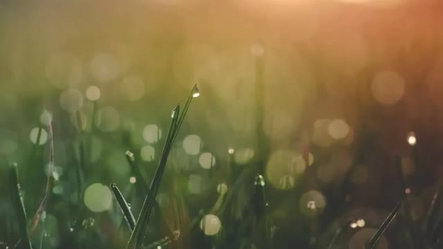 8 Funny Laughing Sounds Effect • No Copyright | Sound Effects And Entertainment Feed