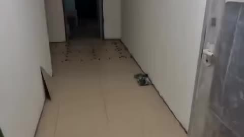 The girl repaired the entrance with her own hands. 😱How do you like the result?