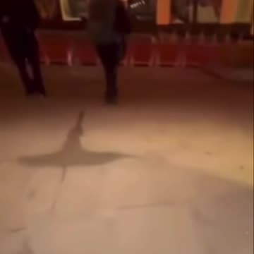 Walgreens Bandits Meet A Vigilante