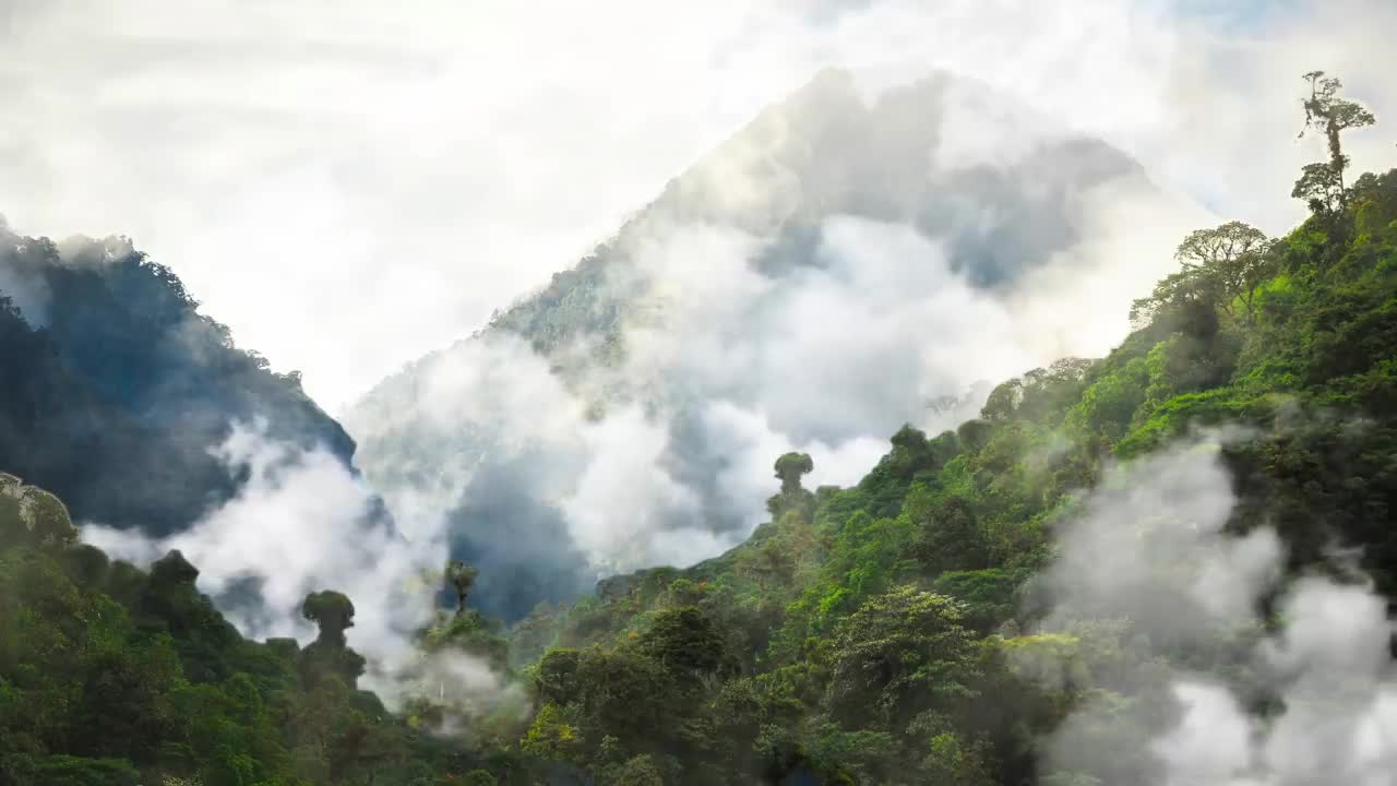 Spider Web Building Time-lapse | BBC Earth