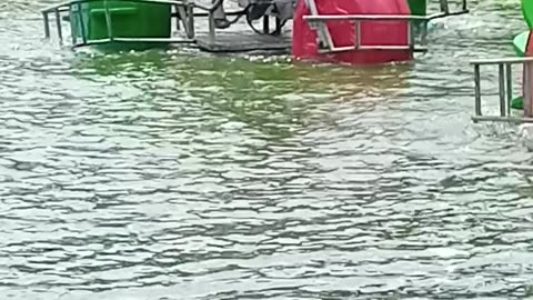 Water biking at Blitar Park