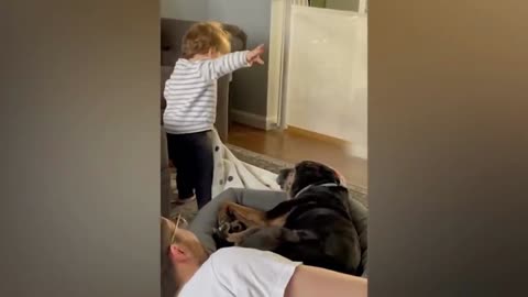 Baby playing with the dog