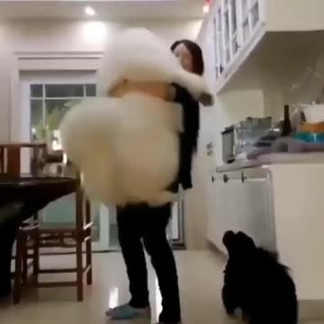 A cute cloud in the kitchen