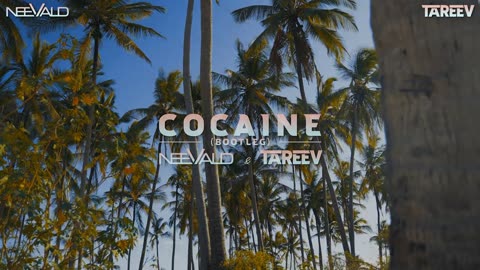 Cocaine (neeVald _ TaReeV Bootleg Official Music Video 4K 720P_HD.mp4