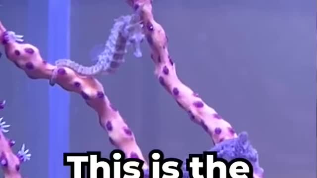 TSYHipqP7DWdD7n4Z5skWsyriHfBvM21fD