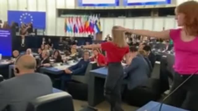 CRAZY: Interpretive Dancers Dance In Front Of European Parliament