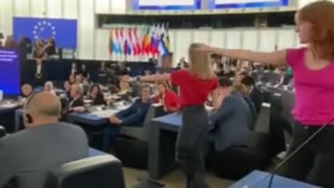 CRAZY: Interpretive Dancers Dance In Front Of European Parliament