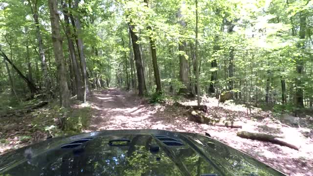 Offroad Tracks Norris Watershed July 2017