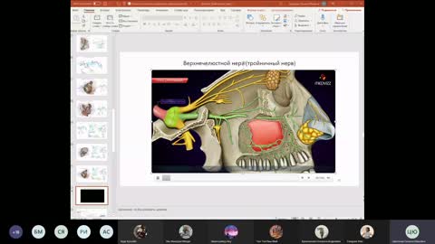 Trigeminal nerve explication