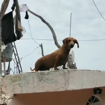 built #mexican #tough