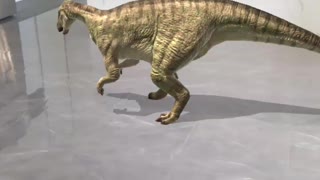 Dinosaur in my House 4