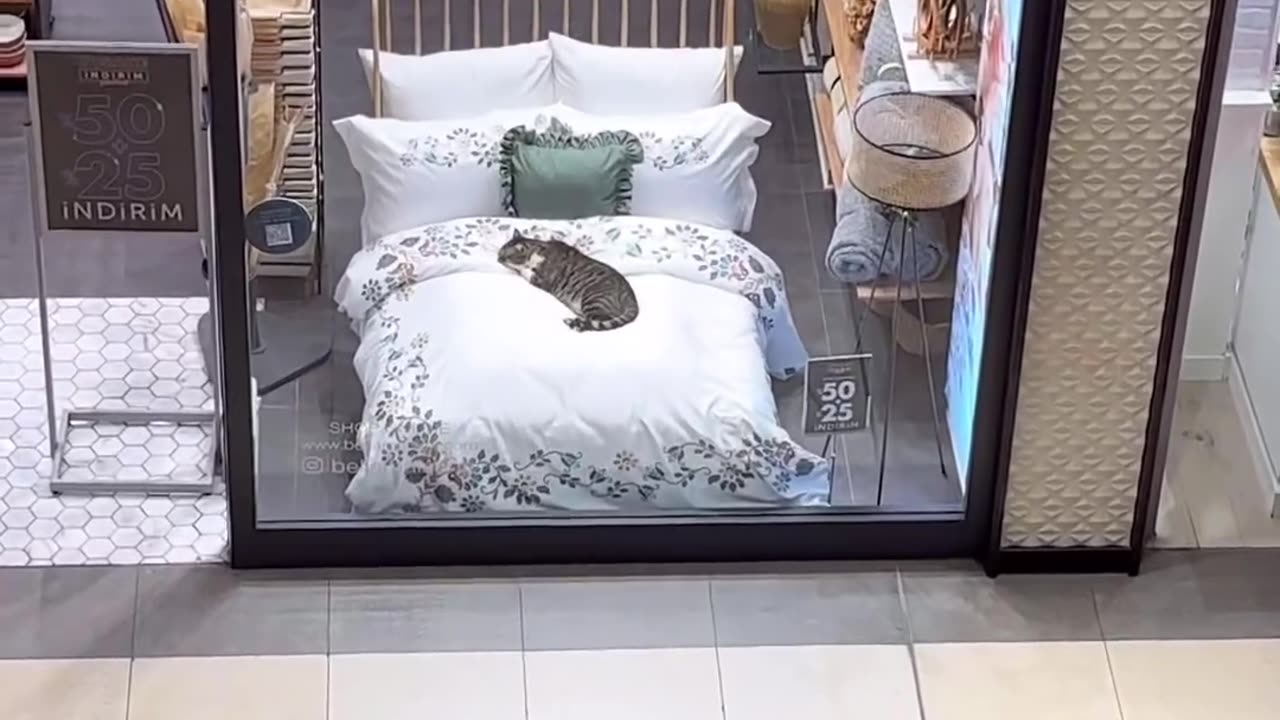 no advertisement needed