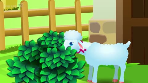 Mary Had A Little Lamb Nursery Rhyme With Lyrics
