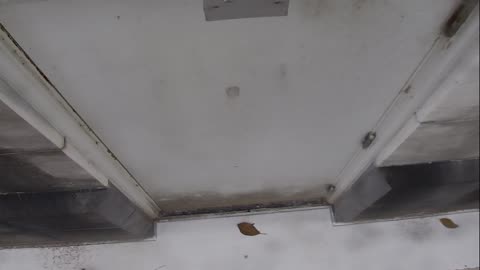 0921USCG00HT18Exterior_2021-01-06_14h00min01s897ms.mp4