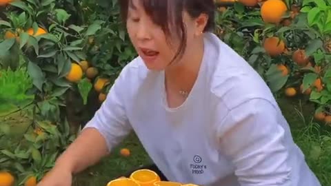 Nature Fruits Video