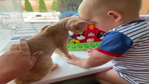 Cat & Baby