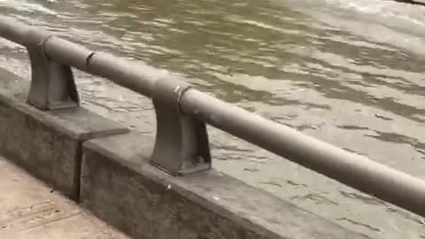 Man rides a jet ski under bridges and cars in a flooded reservoir