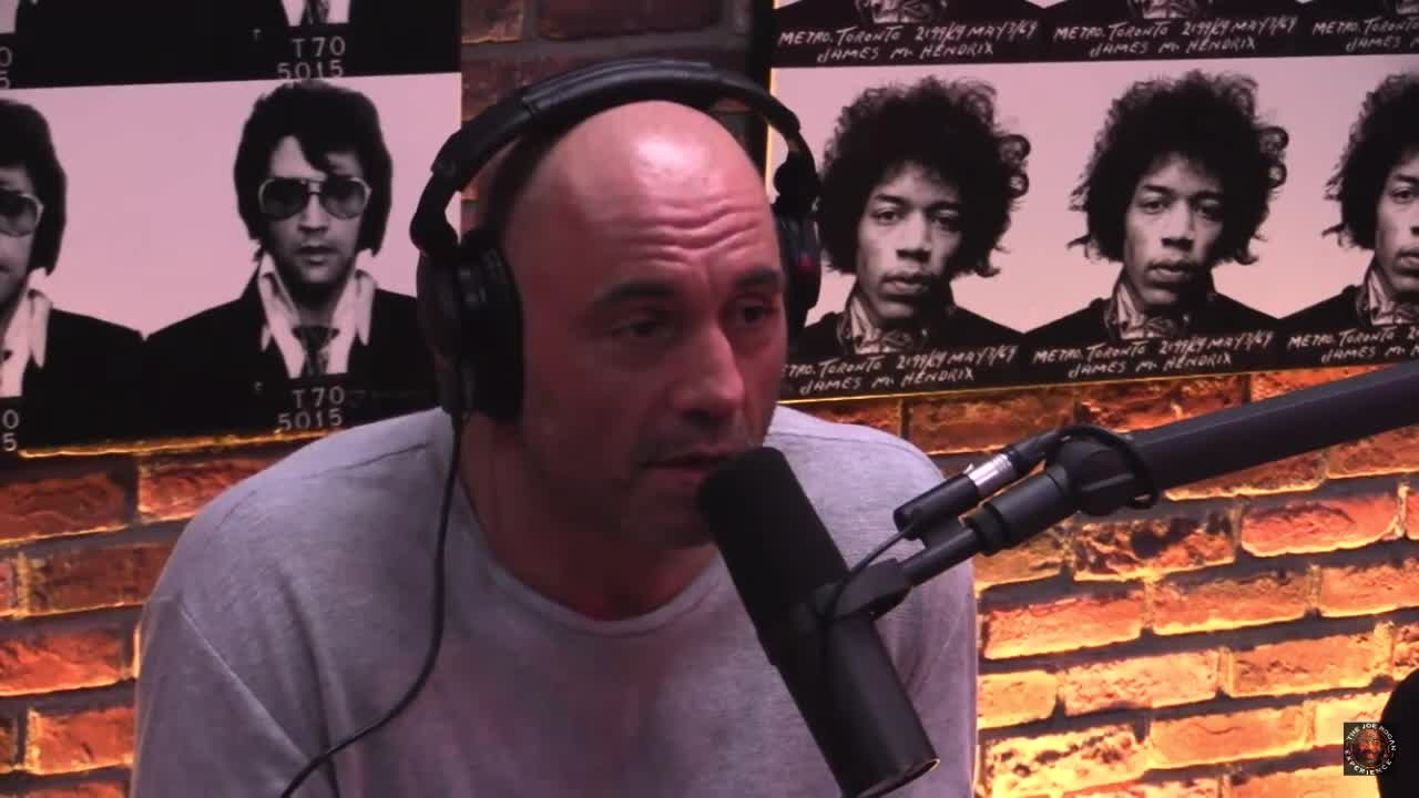 Alex Jones tells Rogan about the elites plan.