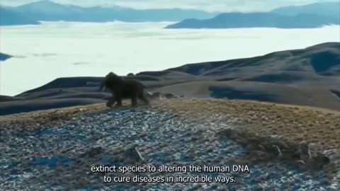 Aug 13, 2023-Watchman News-Eph 2:10-Archaeologists Find Vampire Child, China lasers on Maui and More