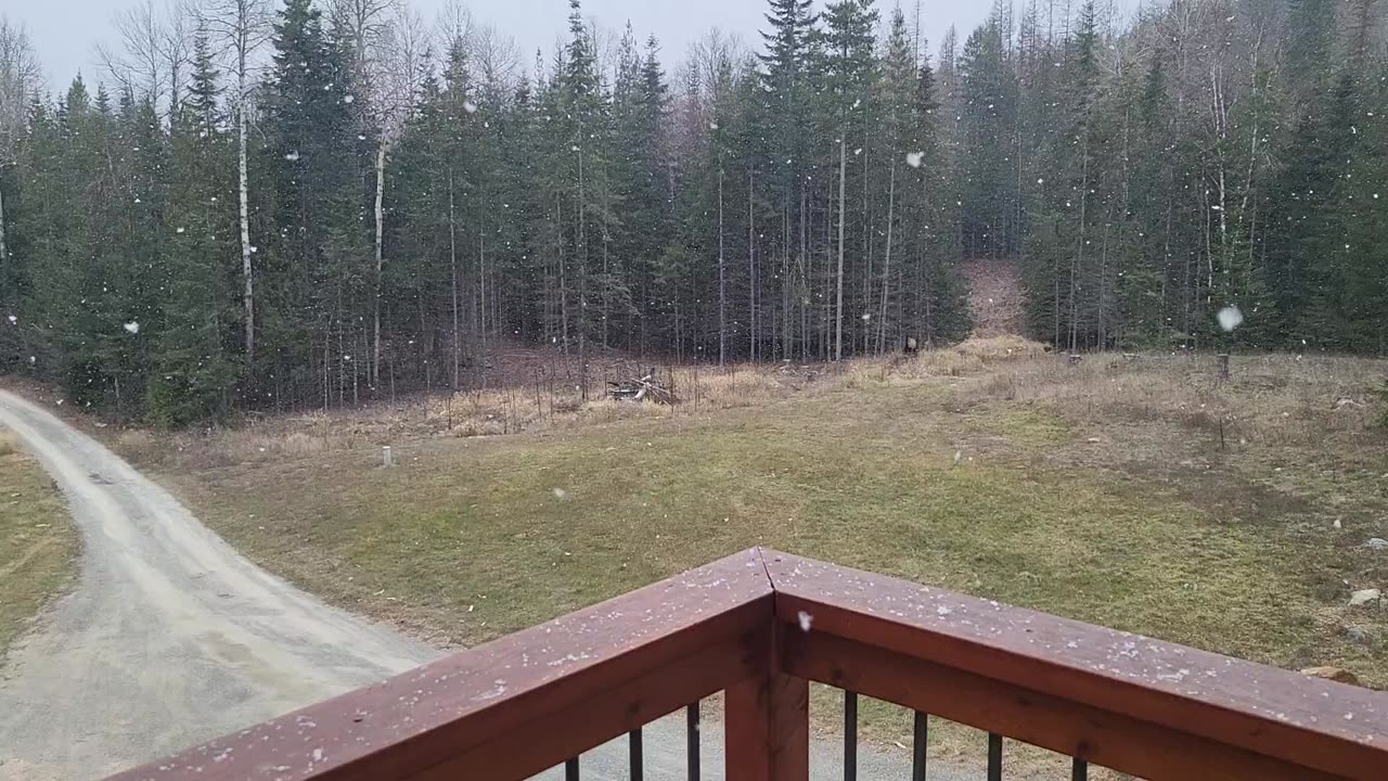 Snow starting