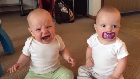 Pelea de Bebes.baby funny video