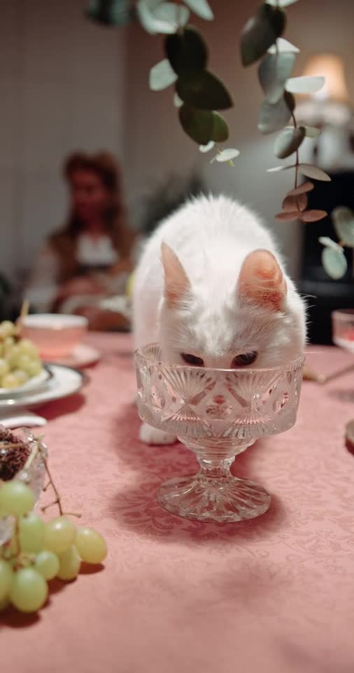 A polite cat eats elegantly