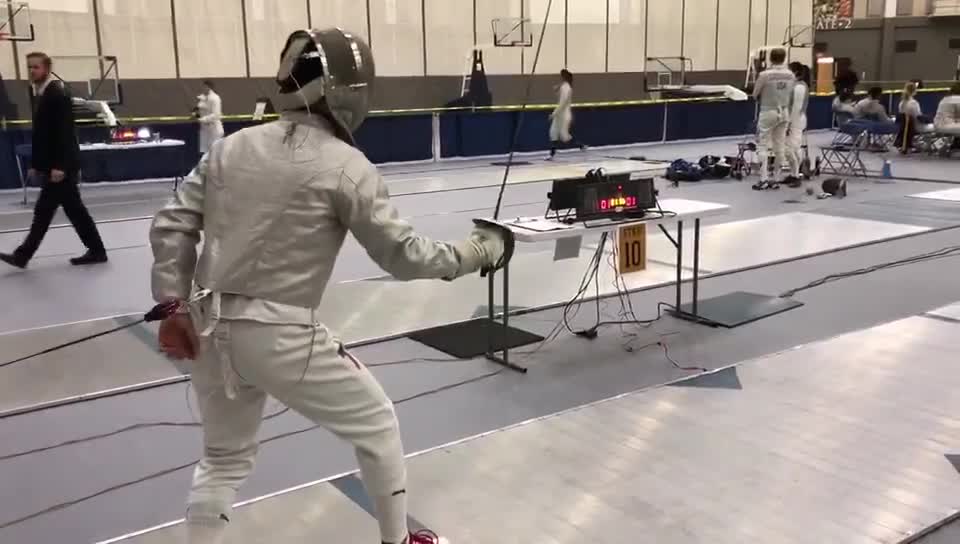 fencer