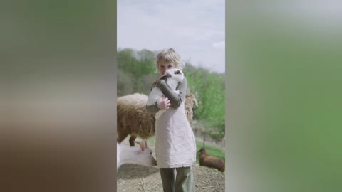 Baby pony horses Cute and funny
