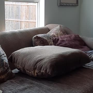 Claire Bear And Her First Window Jump