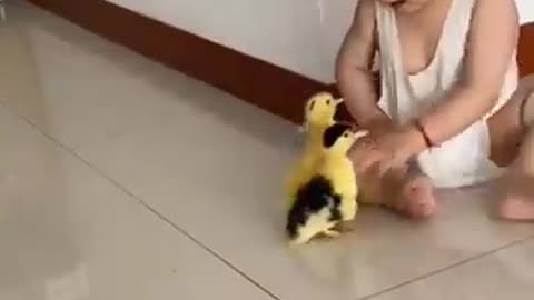 Cute baby videos___