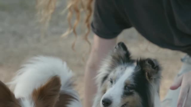 Woman Playing with Two Pet Dogs 2021