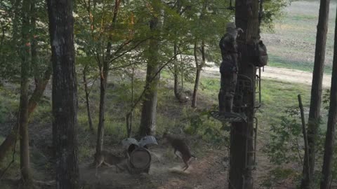 hunting a beer like this way ..