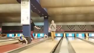 Grey hoodie slides into bowling pins