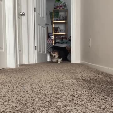 Best morning of your life!