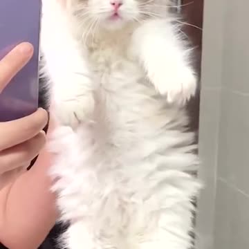 Oh,who’s little cutie