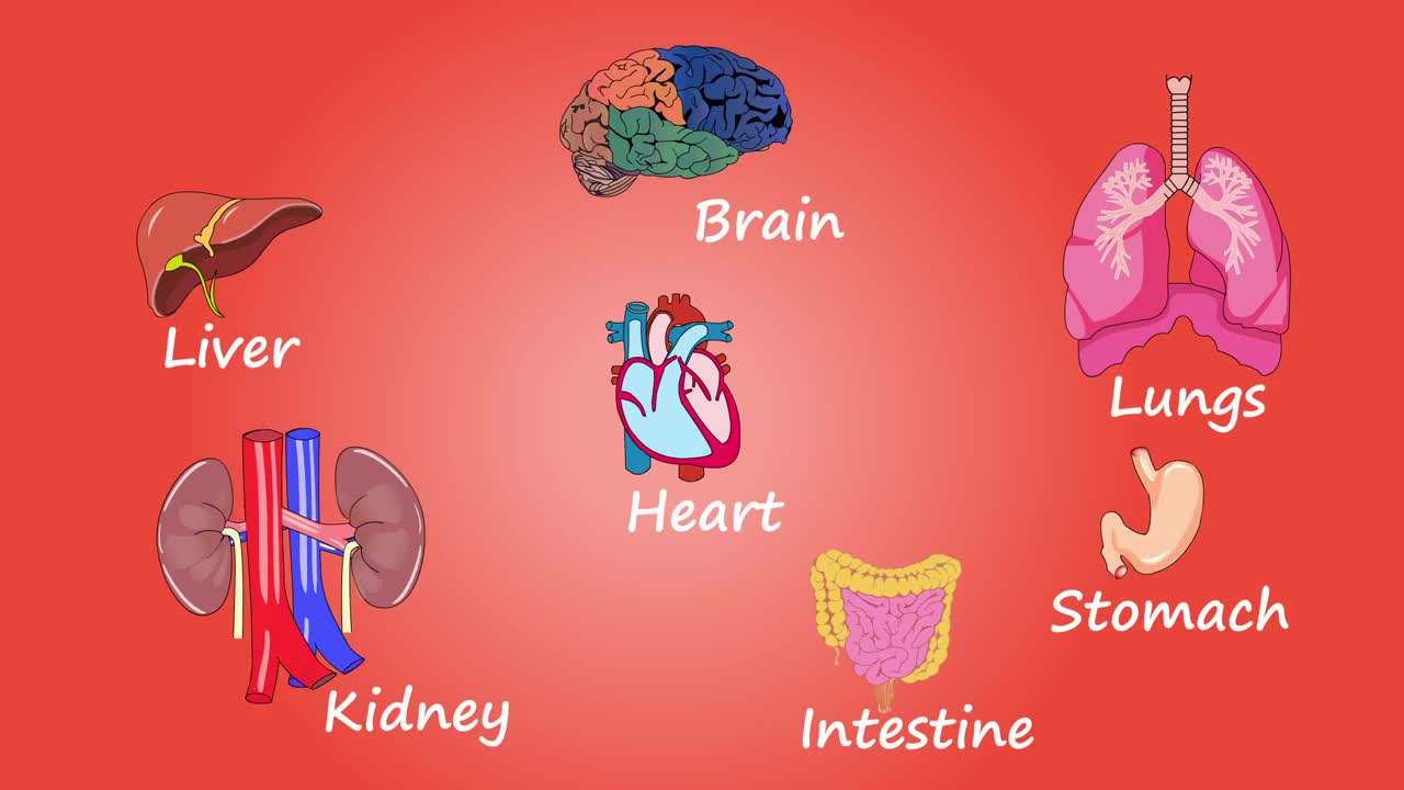 THE BODY OF A LIVING THING IS ALSO A SEPARATE UNIVERSE