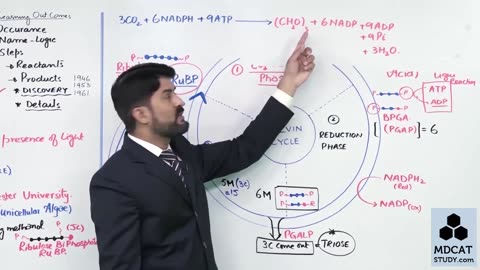 LEC#10 DARK REACTION